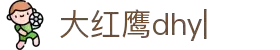大红鹰dhy(中国)有限公司官网